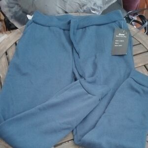 Goodfellow & Co Blue Joggers